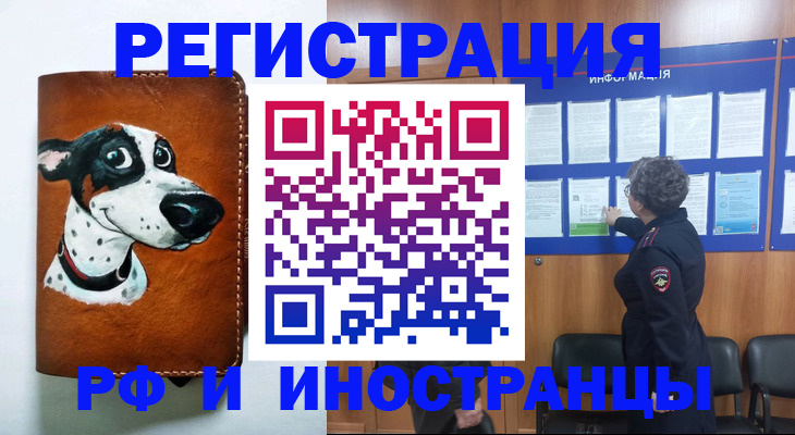 временная регистрация законно в Камышине